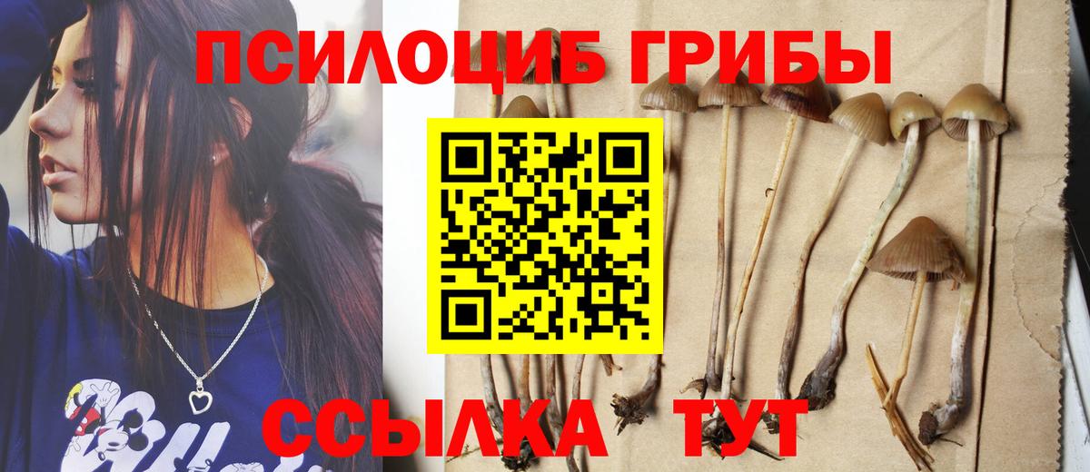 закладка  Галлюциногенные грибы мухоморы  Вход с VPN  Псилоцибиновые грибы мицелий  Нефтекамск 
